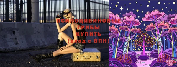 ALPHA PVP Вяземский