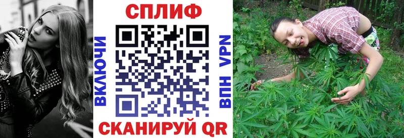 Бошки марихуана VHQ  цена   Самара 